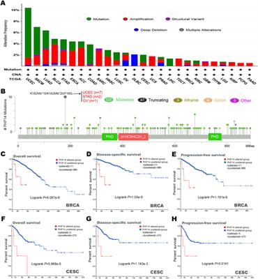 A comprehensive pan-cancer analysis unveiling the oncogenic effect of plant homeodomain finger protein 14 (PHF14) in human tumors